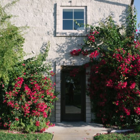 Red bougainvillea vines growing over a doorway at Calcareous Vineyard Winery in Paso Robles