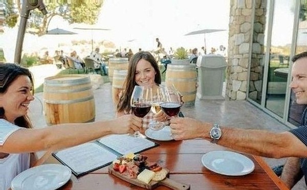 A group of friends toasting their glasses over a gourmet cheese plate at our Seated Outdoor Wine Tasting with Lunch experience