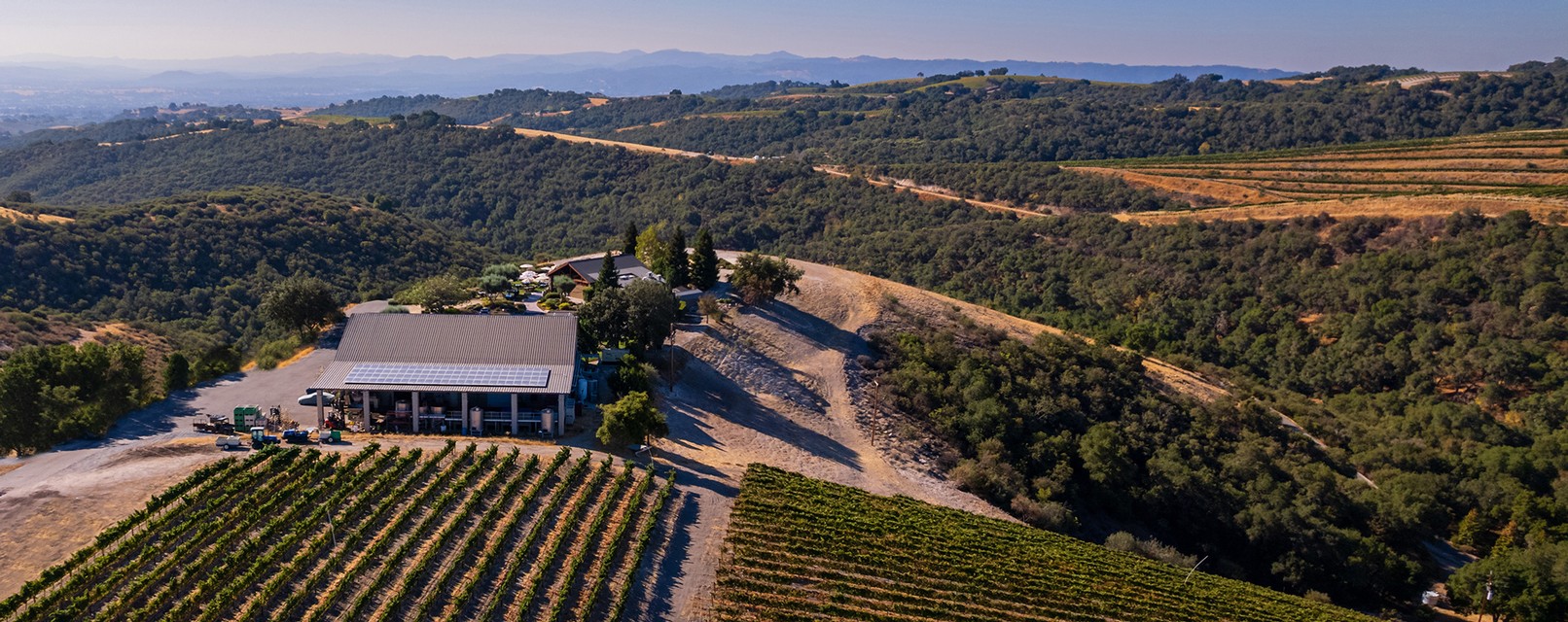 View from Calcareous Vineyard, atop one of the highest limestone plateaus in Paso Robles.