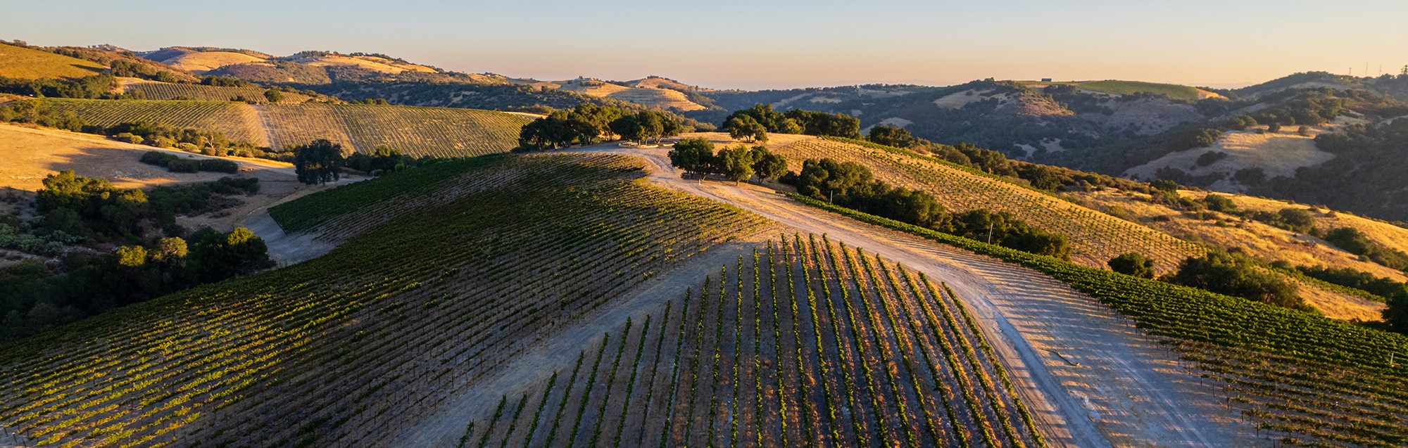 Calcareous sits atop one of the highest limestone plateaus on Paso Robles’ west side.