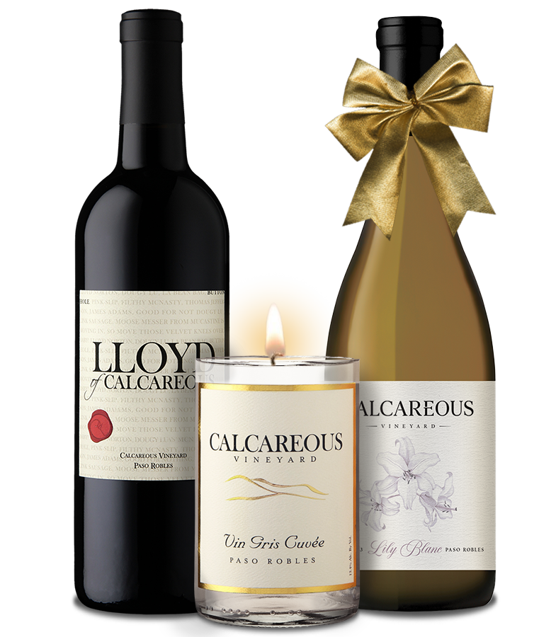 Gift Set: Perennial Favorites 1