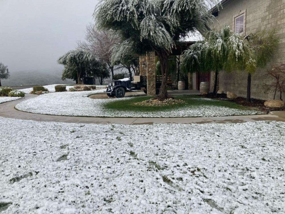 Calcareous Vineyard Snowy Paso Robles Winery