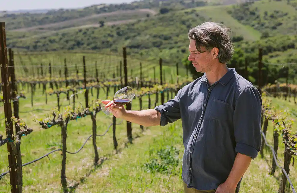 Calcareous Paso Robles Vineyard