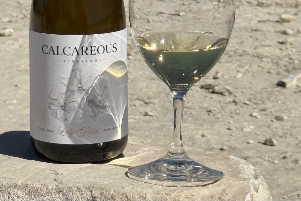 wine bottle with wine glass on a rock in the background