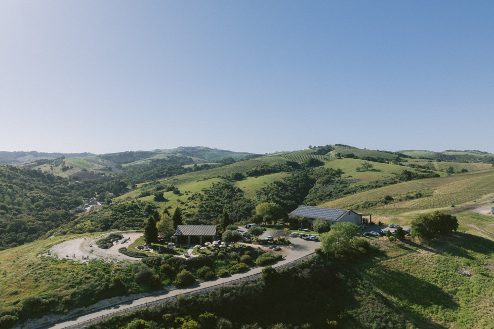 Calcareous Vineyard Tasting Room