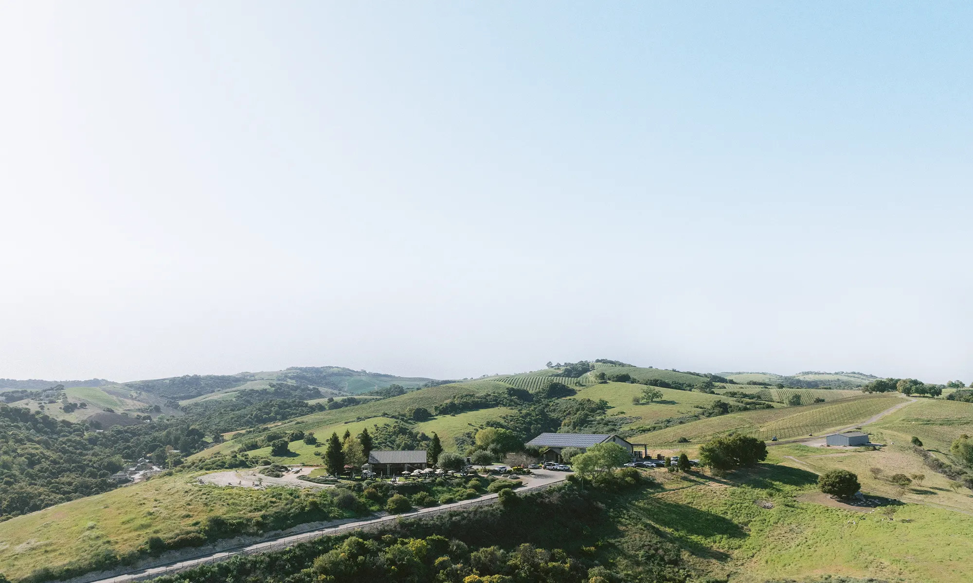 Calcareous Paso Robles Hilltop Winery