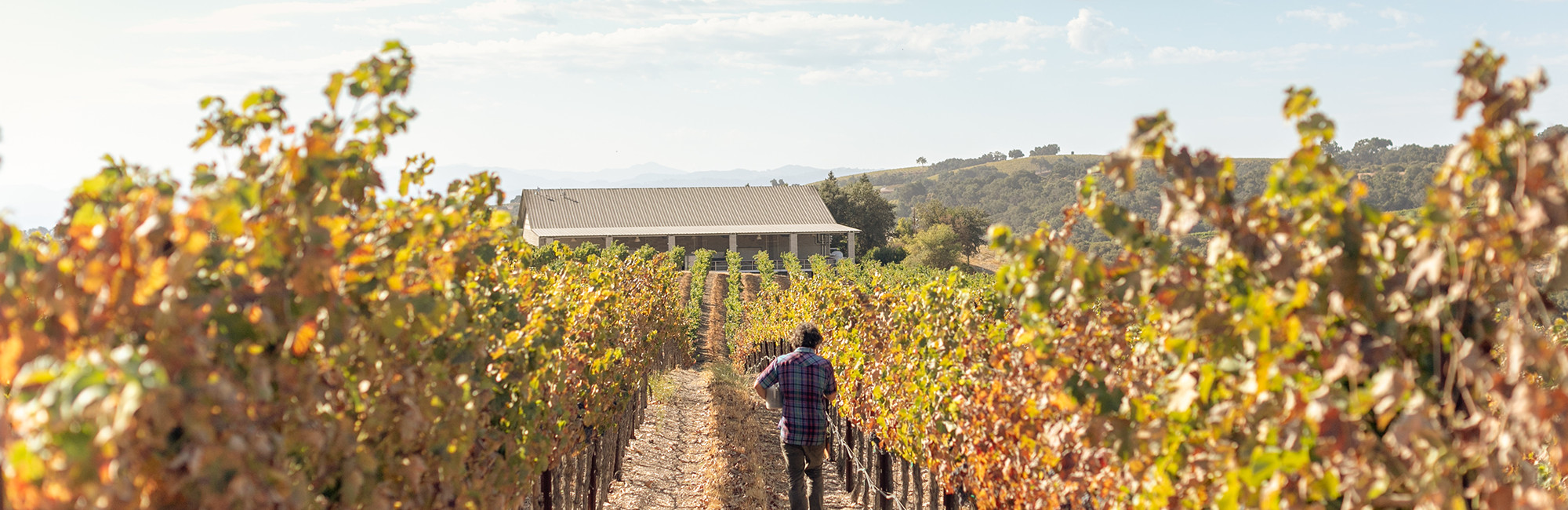 Grenache Past Vintages