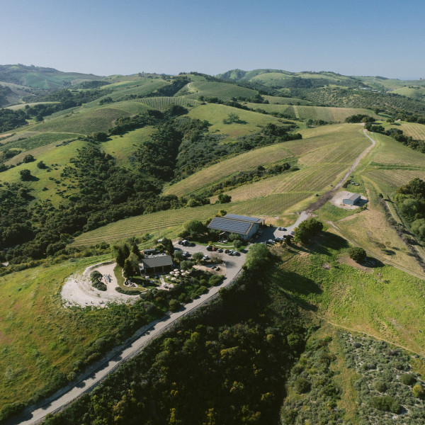 Exploring the Many Facets of Paso Robles Through a Lineup of Boutique Producers