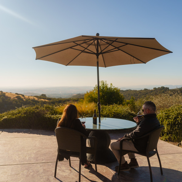 Calcareous Paso Robles Winery Tasting View