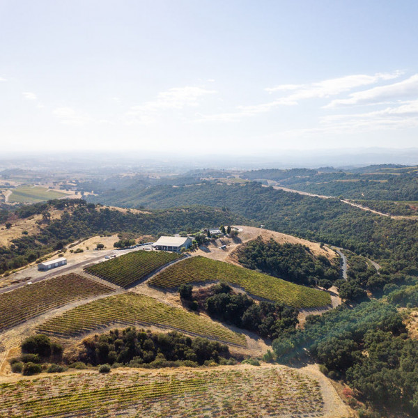 Calcareous Vineyard Aerial View