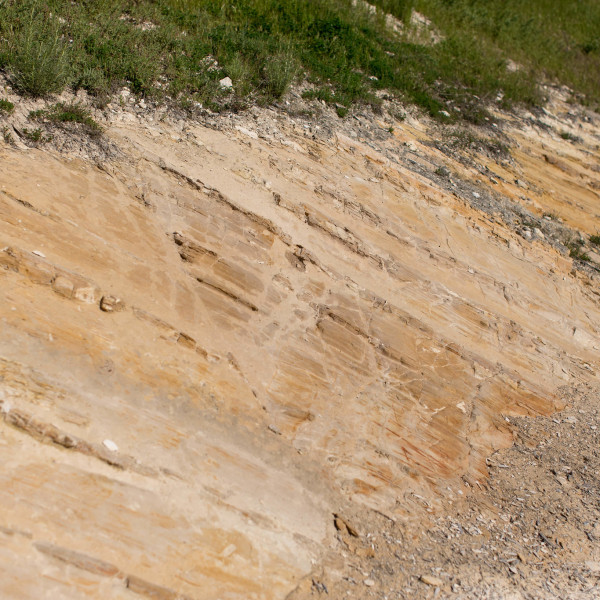Calcareous Vineyad Soil