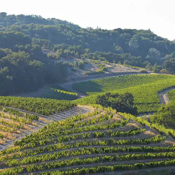 Paso Robles 2021